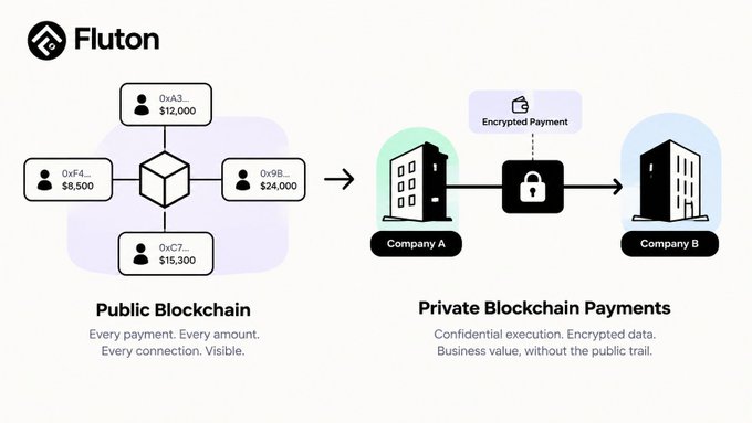An infographic for Fluton blockchain contrasting Public Blockchain, where every payment and amount is visible, with Private Blockchain Payments featuring encrypted transactions between Company A and Company B.