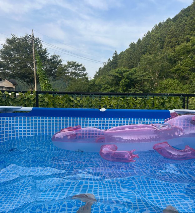 A pink and white inflatable float rests in a blue above-ground pool, with lush green mountains and trees in the background under a partly cloudy sky.