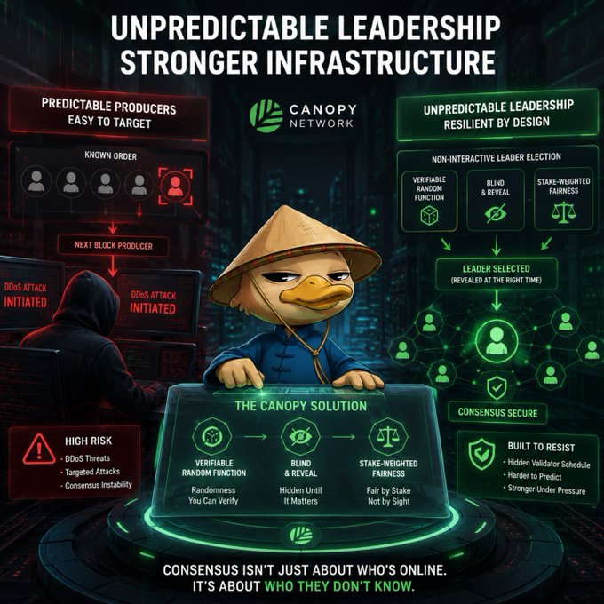 A Canopy Network infographic titled 'UNPREDICTABLE LEADERSHIP STRONGER INFRASTRUCTURE' compares predictable vs. unpredictable block producer systems, featuring a duck character in a conical hat presenting 'THE CANOPY SOLUTION'.
