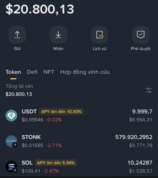 Cryptocurrency wallet screenshot showing a total balance of $20,800.13, with holdings in USDT ($9,994.31), STONK ($9,771.78), and SOL ($1,028.57) along with APY rates.