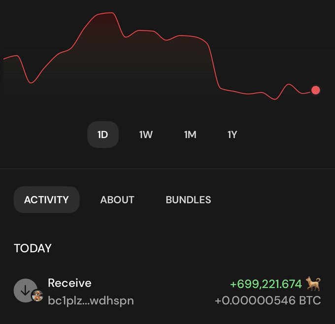 A crypto wallet activity screen showing a 1D price chart trending downward, with a 'TODAY' section displaying a Receive transaction of +699,221.674 tokens (+0.00000546 BTC).