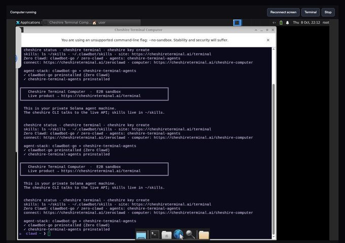 A computer terminal screen showing 'Cheshire Terminal Computer' command-line output with 'cheshire status' and 'cheshire key create' commands, warning about an unsupported command-line flag.