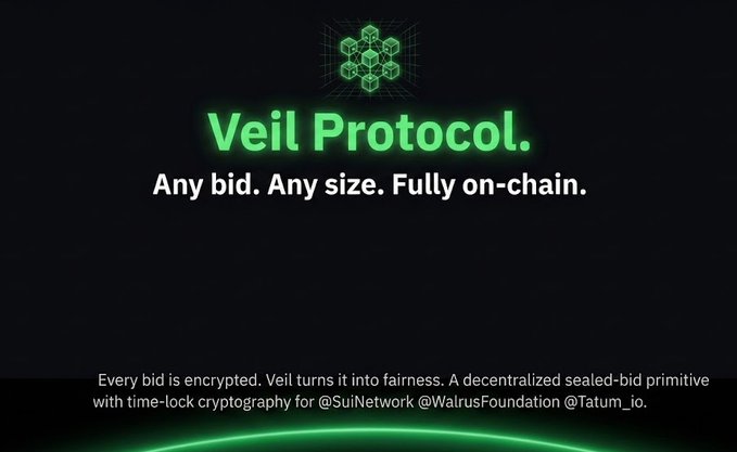 The image shows a banner for a website that says "Vel Protocol." The website has a green background with white text, which reads "Vel Protocol. Any bid. Any size. Fully on-chain." This suggests that the website is promoting a new protocol or service related to blockchain technology and cryptocurrency.