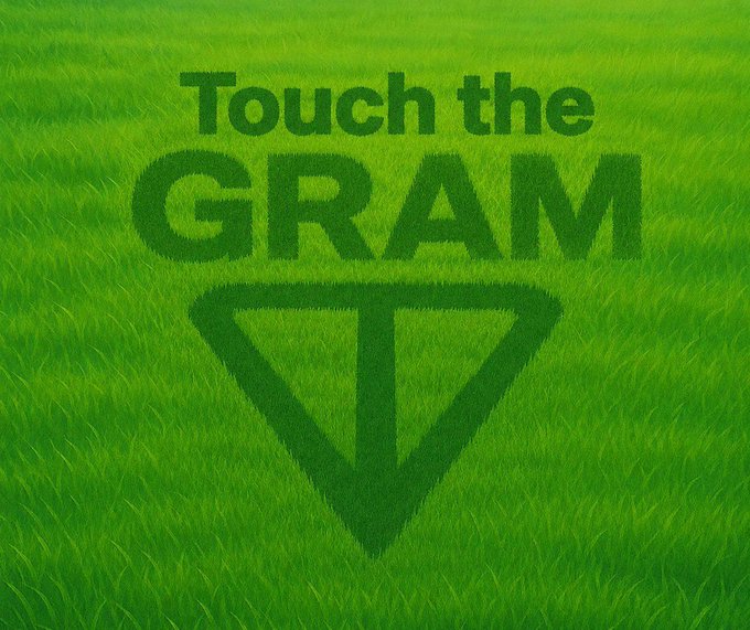 The image features a green grassy field with the text "Touch the Gram" written above it, which appears to be a reference to a tweet or social media post about investing in a particular stock called GRAM. The background of the image is a plain white color that contrasts with the vibrant green grass and makes the text stand out more prominently.