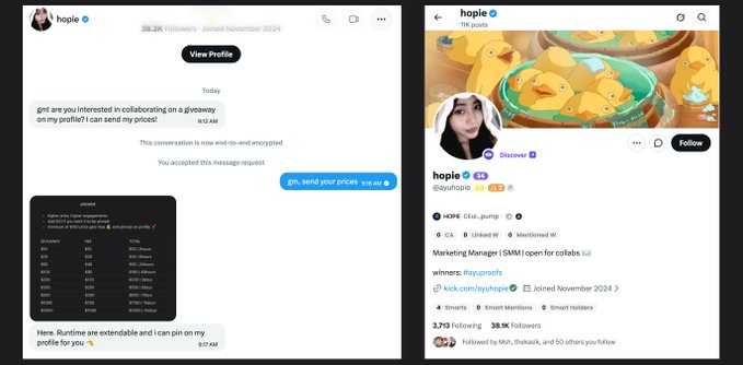 The image shows two posts, one on Twitter and another on Instagram, both featuring a picture of ducks. The posts are about a girl named Hope who has a Wallchain score of 40. The Instagram post includes an advertisement for a product or service that is being offered by Hope's account. Both posts seem to be related to the girl Hope in some way, possibly as a part of her social media presence or marketing strategy.