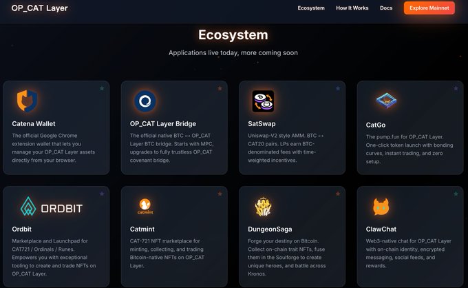 Screenshot of the 'OP_CAT Layer Ecosystem' webpage displaying eight application cards including Catena Wallet, OP_CAT Layer Bridge, SatSwap, CatGo, Ordbit, Catmint, DungeonSaga, and ClawChat, with an 'Explore Mainnet' button.
