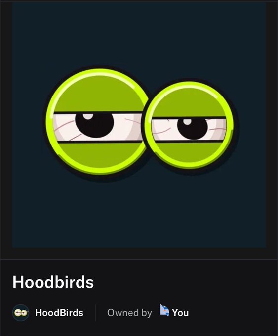 A mobile app screen shows a project titled 'Hoodbirds' with a logo of two green circles containing sideways-looking eyes, listed as 'Owned by You'.
