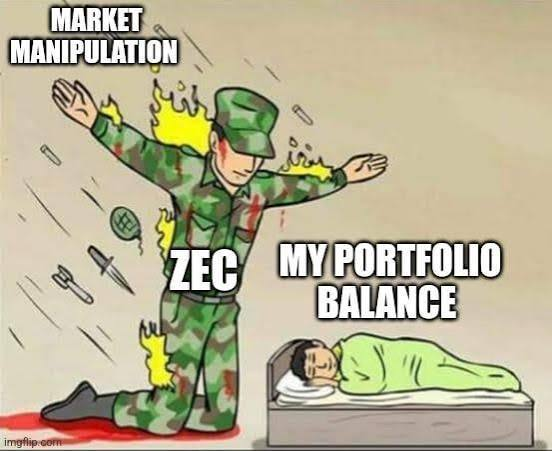 A soldier labeled "ZEC" shields a sleeping person representing "My Portfolio Balance" from incoming "Market Manipulation" by taking the hits. The post "ZEC is protecting our asset" directly relates to the image as ZEC appears to be acting as a protector against negative market forces.