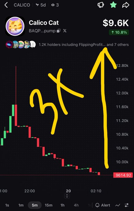 A mobile trading screen shows the "CALICO" meme coin at $9.6K, up 10.8%, with a yellow arrow and the text "btk" drawn on the price chart.