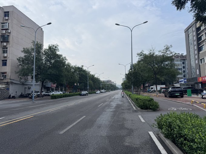 An early morning view of a city street lined with trees and streetlights, with a person riding a scooter in the distance.