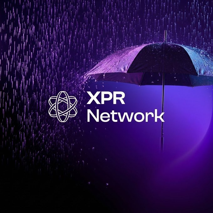 A promotional image for XPR Network featuring a purple umbrella against a dark, rainy purple background with the network's logo.