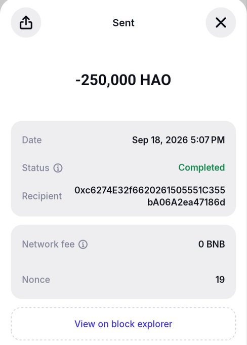 A transaction receipt showing -250,000 HAO sent on Sep 18, 2026 at 5:07 PM, marked as Completed with 0 BNB network fee and nonce 19.