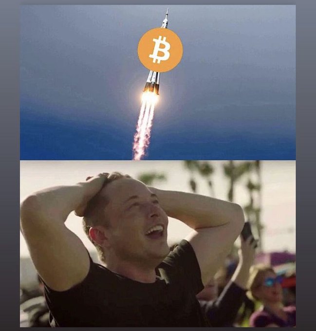 A two-part meme showing a rocket emblazoned with the Bitcoin (₿) logo blasting upward, paired with an image of Elon Musk looking up in awe with his hands on his head, visually representing the post's caption "BTC moon mission is def happening."