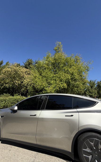 A silver sedan (appearing to be a Tesla Model 3) is parked outdoors against a backdrop of green trees and a clear blue sky.