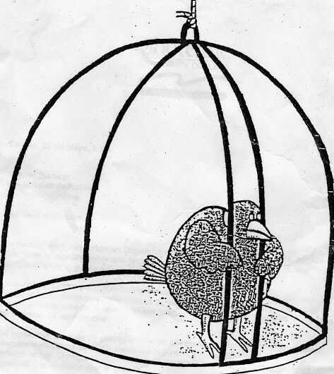 A black-and-white illustration of a bird trapped inside a wire cage. The caged bird serves as a metaphor for L1 blockchain builders confined to empty ecosystems with no users, quietly hoping for the freedom that real adoption would bring.