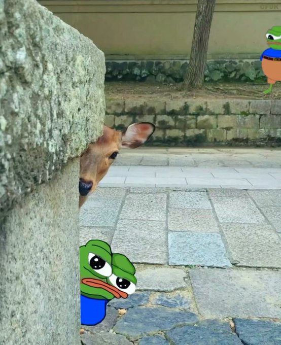 A meme edits a real-life photo of a deer peeking from behind a stone wall, adding crying Pepe frog characters to the scene.