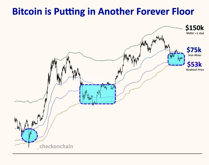 The chart titled "Bitcoin is Putting in Another Forever Floor" shows BTC price action with key levels marked at $53k (Realised Price), $75k (True Mean), and $150k (MVRV +1.0sd), highlighting how previous dip-buying opportunities at lower levels never materialized as Bitcoin continued establishing higher floors. The post's reference to "the third one close in real time" aligns with the chart's highlighted consolidation zones showing how each successive "dip" became a permanent floor rather than a buying opportunity.