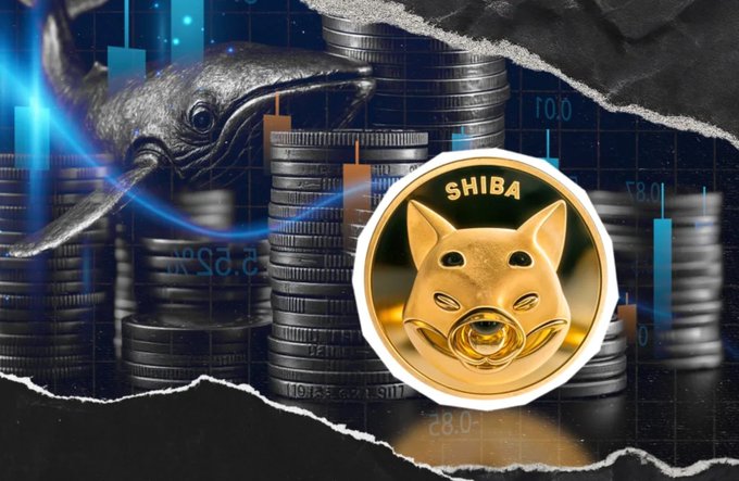 A gold Shiba Inu coin embossed with "SHIBA" sits prominently in front of stacked coin columns and trading chart graphics, with the iconic dog meme face overlay, visually representing the $SHIB cryptocurrency amid analysis of its recent 97% drop in exchange netflow and 226 billion token movement noted in the post.