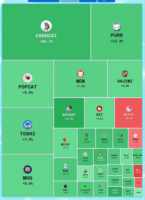 A treemap-style cryptocurrency visualization dominated by 'CASHCAT' at +25.7% and 'PURR' at +13.3%, with other smaller cat-themed tokens like 'POPCAT,' 'MOG,' and 'TOSHI' showing various gains and losses.