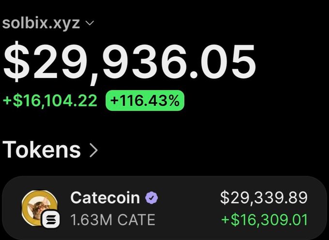 A screenshot of the wallet solbix.xyz showing a total balance of $29,936.05 (up +$16,104.22 or +116.43%), with holdings concentrated entirely in 1.63M Catecoin (CATE) valued at $29,339.89 (+$16,309.01), supporting the post's claim of turning $3,450 into over $30,000 in profit on $CATE.