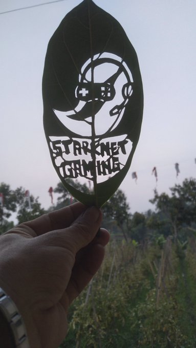 A hand holding up a leaf that has been intricately carved with an astronaut illustration and the text "STARKNET GAMING" against an outdoor backdrop.