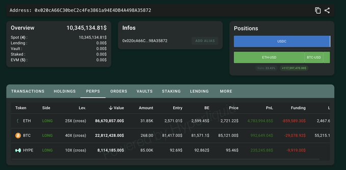 A cryptocurrency trading dashboard screenshot showing a wallet address "0x020cA66C30beC2c4Fe3861a94E40B4A408A35872" with an overview value of "10,345,134.81 $" and open positions including "ETH", "BTC", and "HYPE".