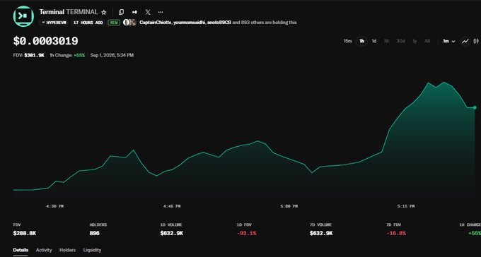A cryptocurrency price chart for the token "Terminal" (TERMINAL) showing a price of $0.0003019 with a 1-hour change of +55% and a FDV of $301.8K, dated Sep 1, 2026.