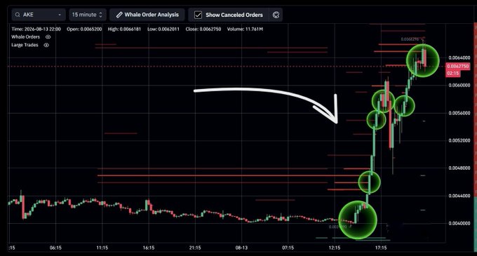 A 15-minute candlestick chart of $AKE (AKE) dated 2026-08-13 shows large green whale buy orders circled on the right side around the 0.0062000-0.0064000 price range, visually supporting the claim of sustained whale accumulation with minimal selling pressure. The price action reflects an upward trend, aligning with the post's bullish outlook for continued upside.