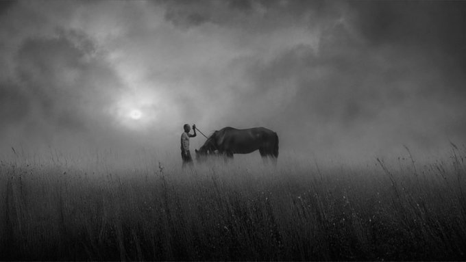 A black and white photograph shows the silhouettes of a person and an elephant standing together in a misty field under a cloudy sky.