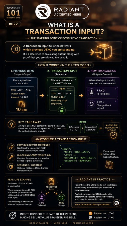 An educational infographic titled 'WHAT IS A TRANSACTION INPUT?' explaining the starting point of UTXO transactions, showing a 'Radiant Accepted Here' badge with the Radiant logo.