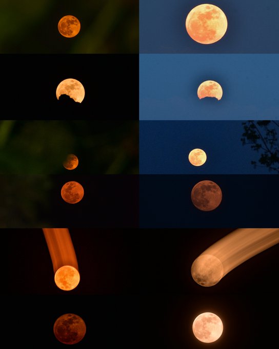 The image features a collection of twelve photographs capturing the moon in various phases throughout its orbit around the Earth, all presented together as a single poster or display. The moon's different colors create an interesting visual effect, demonstrating the changing appearance of this celestial body over time. This is related to the post because it introduces "Lunar Visions" showcasing the unique beauty and phases of the moon at different moments in its orbit.