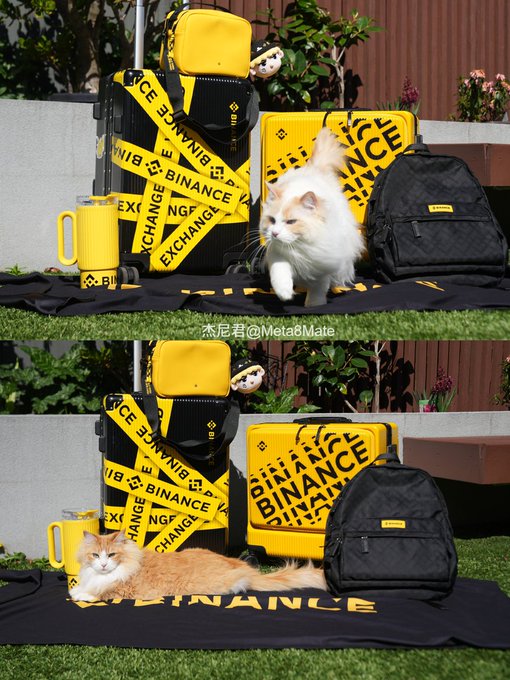 Two photos featuring a fluffy cat posed with Binance-branded merchandise including yellow and black caution tape, a suitcase, and bags with "BINANCE EXCHANGE" printed on them.