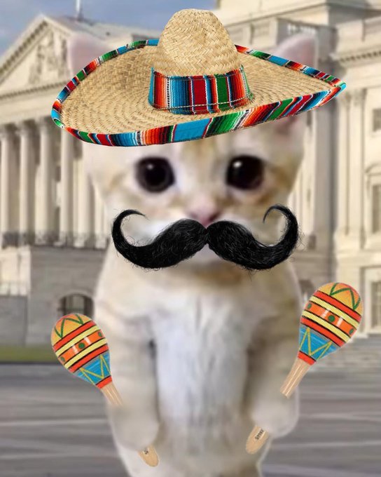 A white cat wearing a colorful sombrero and a black mustache poses in front of a classical building, holding two decorated maracas. The image embraces a playful, meme-friendly aesthetic that aligns with the post's promotion of the $GATO token, using lighthearted visual elements to reinforce the growing community adoption mentioned in the caption.