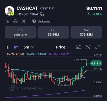 The image shows a CoinMarketCap-style price chart for the meme token **CASHCAT ($CASHCAT)**, currently trading at **$0.1141 (+1.41%)**, with an FDV of $113.99M, liquidity of $5.99M, and 1-hour price action highlighted. The accompanying post humorously suggests traders are swapping out their $ANSEM holdings for $CASHCAT after seeing it trending on the timeline—a fitting visual given the chart's notable upward move in the 1m timeframe.