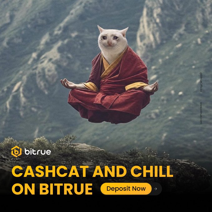 A digitally edited advertisement for the cryptocurrency exchange Bitrue, showing a white cat dressed in a red and yellow monk's robe meditating in a lotus position against a mountainous backdrop, with the text 'CASHCAT AND CHILL ON BITRUE'.
