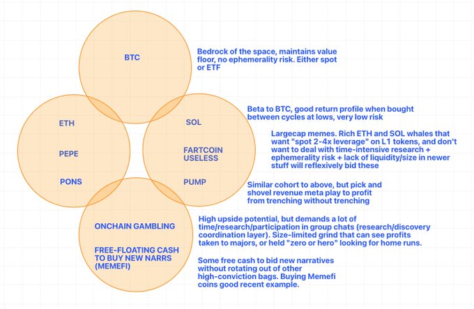 A portfolio framework categorizing crypto holdings into BTC, large caps (ETH, SOL, FARTCOIN), memecoins (PEPE, PONS, USELESS, PUMP), on-chain gambling, and high-conviction narrative buys—suggesting that tokens like HYPE or ZEC don't fit into any of these strategic buckets.