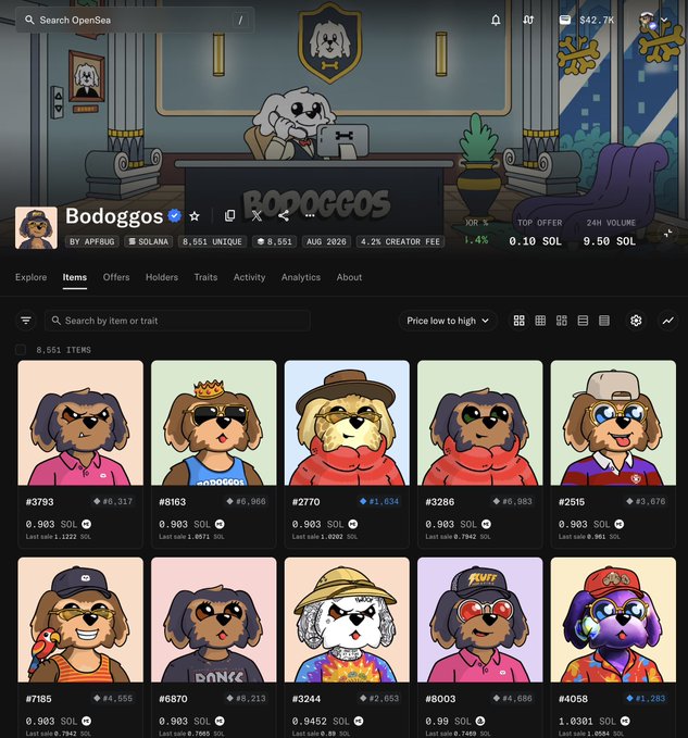 The image shows the OpenSea listing page for the "Bodoggos" NFT collection on the Solana blockchain, featuring 8,551 unique items priced at 0.903 SOL, with various cartoon dog avatars wearing accessories like crowns, sunglasses, and hats displayed in a grid. This directly relates to the post announcing the launch of the Bodoggos collection on OpenSea, capturing the excitement of the project finally going live.