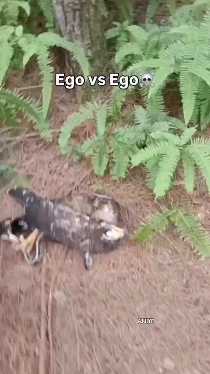 None
