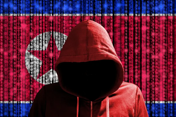 A person in a red hoodie standing against a North Korean flag backdrop with falling green binary code, symbolizing a cyber-hacker theme.