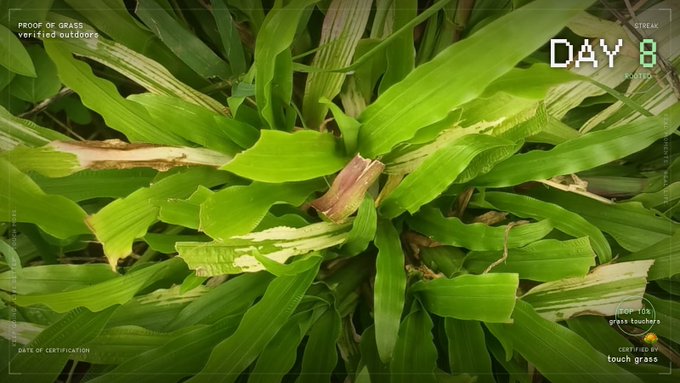Close-up of green grass leaves with overlay text reading 'PROOF OF GRASS', 'DAY 8', and 'CERTIFIED by touch grass', styled like a crypto certification NFT.