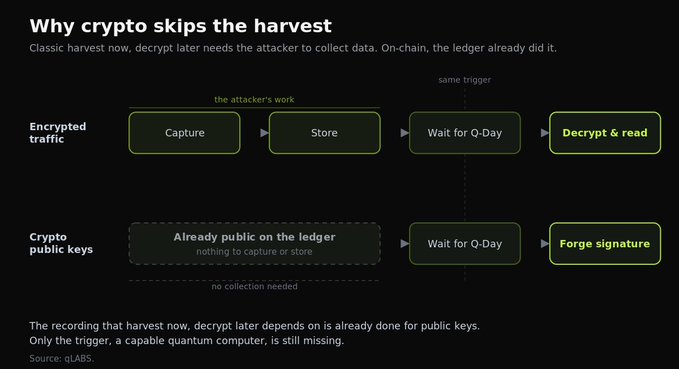 An infographic titled 'Why crypto skips the harvest' explaining how encrypted traffic requires capture, store, and wait for Q-Day to decrypt, while crypto public keys are already public on the ledger and only need to wait for Q-Day to forge signatures.