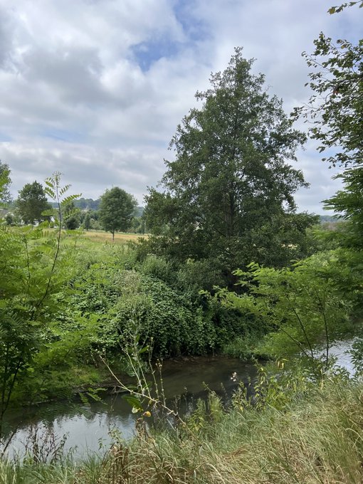 A serene landscape photograph featuring a small stream or pond surrounded by lush green trees, shrubs, and grass under a partly cloudy sky.