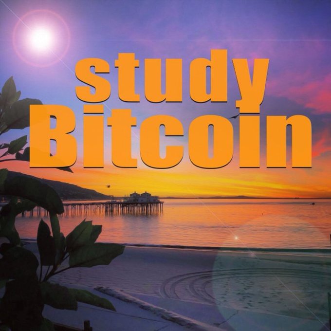 An image with the text "study Bitcoin" in large orange letters overlaid on a sunset scene featuring a pier, ocean, and tropical foliage.
