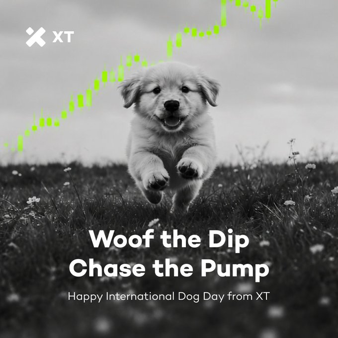 An XT exchange promotional graphic for International Dog Day featuring a golden retriever puppy running in a field with green candlestick chart overlay and text 'Woof the Dip Chase the Pump'.