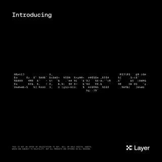 The image features a black background with white text. The main focus of the image is a caption that reads "Introducing Exchange OS". Below this, there are three lines of text written in white font. These lines describe the purpose of the new operating system, which is to provide a platform for seamless communication and data sharing across various protocols. The post also mentions that the Exchange OS is designed to be deployable on shared infrastructure without requiring any permissions or prior knowledge of the underlying protocols.