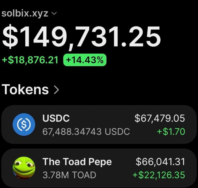 The image shows a crypto wallet (solbix.xyz) displaying a portfolio value of $149,731.25 with a +$18,876.21 (+14.43%) gain, split between $67,479.05 USDC and $66,041.31 in 3.78M $TOAD (The Toad Pepe), which is up +$22,126.35. The screenshot visually supports the post's claim of a massive ~28x return on $TOAD, highlighting the meme coin's significant gain as the primary driver of the wallet's profit.