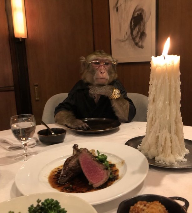 A monkey in a suit, glasses, and gold watch sits at a fancy dining table with a plate of steak and a tall dripping candle. The image humorously embodies the "cashcat" meme referenced in the caption, mocking someone accused of profiting off insider trading by depicting the trader as a well-dressed, money-flashing primate enjoying luxury.