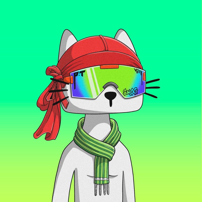 An animated cartoon cat wearing a red bandana and oversized reflective sunglasses labeled "SKOF," paired with a green striped scarf against a gradient green background.