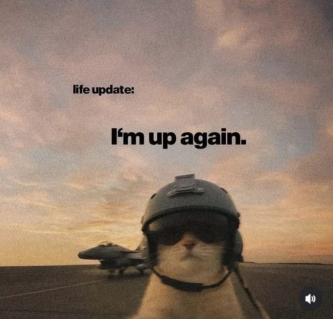 A humorous photo of a cat wearing a fighter pilot helmet with an aircraft carrier in the background, captioned "life update: I'm up again."