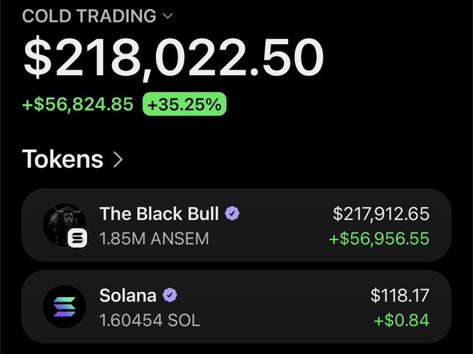 Screenshot of a 'COLD TRADING' portfolio showing $218,022.50 (+35.25%), with the main holding being The Black Bull token (1.85M ANSEM, $217,912.65) and Solana (1.6 SOL).